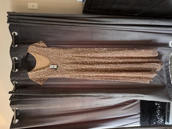 Adrianna Papell gown floor length sequin rose gold NWT - Picture 2 of 3